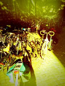 Netherland bicycles © Jürgen Novotny 2013