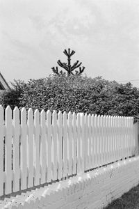 On The Fence | Observations