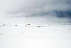 "Radio field under the snow"