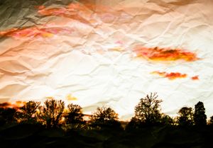 Honest Landscape