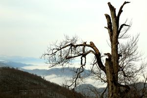 Iran.khalkhal