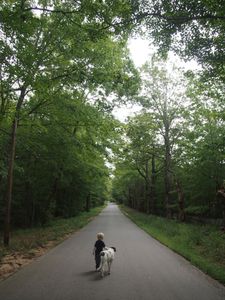 Gilmanton, N.H. © Matt Nighswander