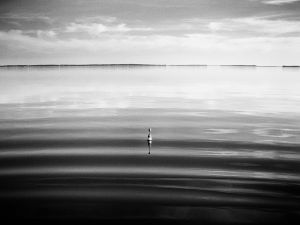 Beside the water II
