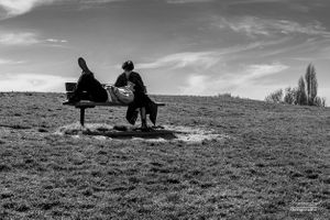 Hampstead Heath | 27