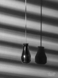 Still Life | 13