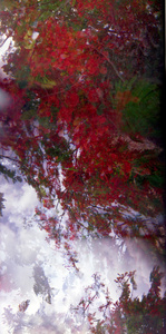 Untitled, from the "when the evidence of our tears were reborn as..." series