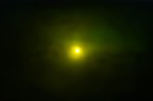 Sunset in my green world