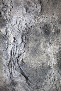 Patera
