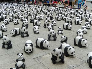 Pandas
