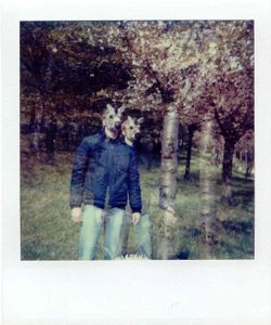 Fragments - M - Zebra Mask and Blossoms