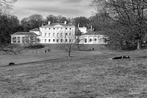 Hampstead Heath | 16