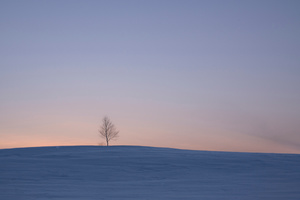 Winter Horizon in the Vicinity -12