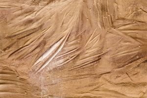 1000 Year Old Chisel Marks. Chaco Culture National Historical Park, NM. © David Gardner