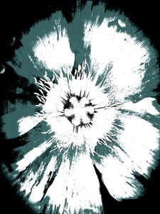 Remembering Georgia O'Keeffe_10
