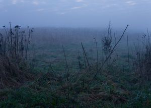 Moonlight, 2013 © Per Bak Jensen, Galleri Bo Bjerggaard