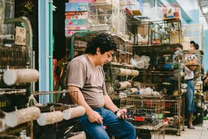 Market Intimacy 09