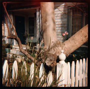 Picket Fence