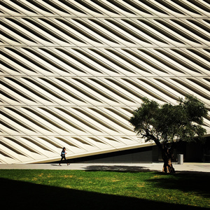 Broad Museum, LA