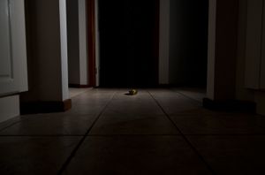 Humble Departure