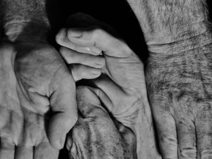 Hands 13