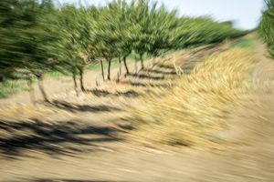 65 MPH Series_Untitled 14