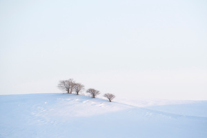 Winter Horizon in the Vicinity -09