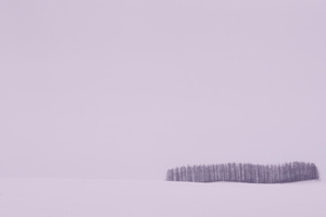 Winter Horizon in the Vicinity -02