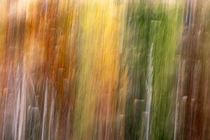 Impressioni d'autunno_07