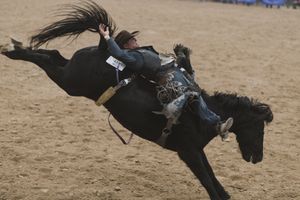 bareback bronc