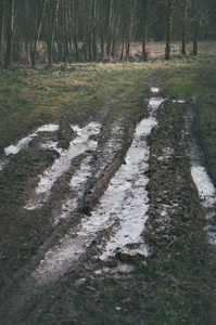 untitled from the series "Waiting for the Awakening"