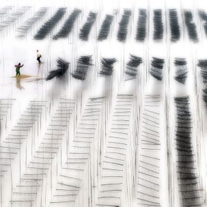 Seaweed Farm