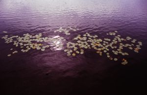 unique lake