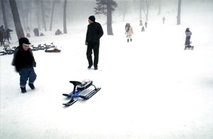 Sled