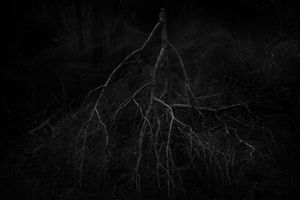 Untitled 6