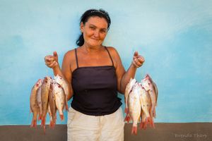 Want to buy a fish? Trinidad.