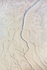 Vein