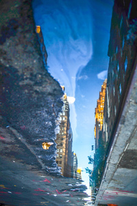 Down the Avenue