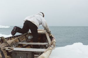 Umialiaq Tad Reich quietly jumps into action as a bowhead whale is sighted to the west. Umiaq whaling happens just meters from the edge of the ice, a distance close enough to intercept a passing whale by paddle power. Kanisan Ningeok humbly explains, “We sit on the ice and hope the whale gives itself.”