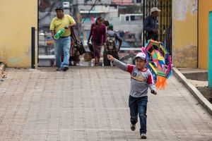 Young Boy with a Kite, Too