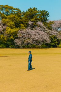 With the Lawn