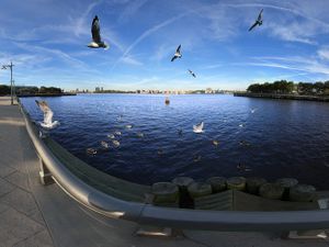 Hudson River and Birds