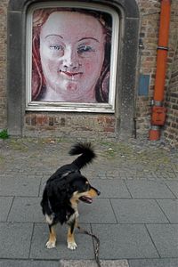 "DOMINA PRO NOBIS"