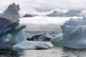Antarctica IV