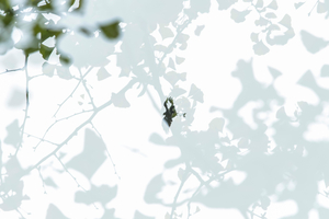 《赋山水》