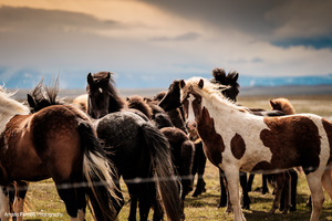 Iceland - Different Light