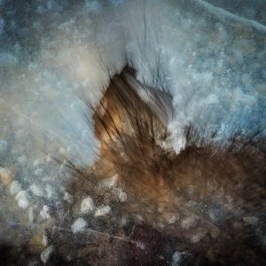 Through the Eyes of Hans Christian Andersen #07 / Last chance in the wind of time