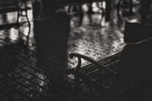 bench and rain