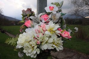 Fiori recisi
