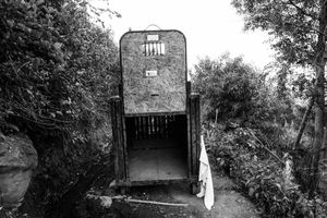 Human & Tiger Conflict