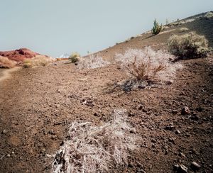 El Teide, view #09